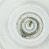  ( - CAMP_113_A5)  @11 [ ] by  Genome Research Ltd as Wellcome Sanger Institute Genome Research Limited operating as Wellcome Sanger Institute