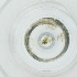  ( - CAMP_113_D6)  @11 [ ] by  Genome Research Ltd as Wellcome Sanger Institute Genome Research Limited operating as Wellcome Sanger Institute