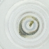  ( - CAMP_117_B4)  @11 [ ] by  Genome Research Ltd as Wellcome Sanger Institute Genome Research Limited operating as Wellcome Sanger Institute
