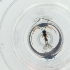 ( - CAMP_118_G10)  @11 [ ] by  Genome Research Ltd as Wellcome Sanger Institute Genome Research Limited operating as Wellcome Sanger Institute