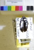  ( - ww04306)  @11 [ ] CreativeCommons - Attribution Non-Commercial Share-Alike (2017) Andrew Mitchell Australian Museum
