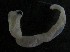  ( - ECOSUR-OH-E0107)  @11 [ ] CreativeCommons  Attribution Non-Commercial (by-nc) (2016) Unspecified Unspecified