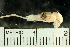  ( - ME01-1)  @11 [ ] No Rights Reserved  Unspecified Unspecified