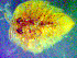  ( - ME20-1)  @11 [ ] No Rights Reserved  Unspecified Unspecified