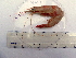 ( - ME26-1)  @11 [ ] No Rights Reserved  Unspecified Unspecified