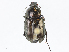  ( - CBG-A00297-B07)  @11 [ ] CreativeCommons - Attribution Share - Alike (2023) CBG Photography Group Centre for Biodiversity Genomics