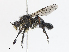  ( - CBG-A08775-B03)  @11 [ ] CreativeCommons - Attribution Share - Alike (2023) CBG Photography Group Centre for Biodiversity Genomics