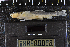 (Oxynoemacheilus - 8005826)  @11 [ ] CreativeCommons  Attribution Share-Alike (2019) Unspecified Zoological Research Museum Alexander Koenig