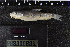  (Luciobarbus capito - 8007805)  @11 [ ] CreativeCommons  Attribution Share-Alike (2019) Unspecified Zoological Research Museum Alexander Koenig