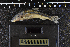  ( - 8007875)  @11 [ ] CreativeCommons  Attribution Share-Alike (2019) Unspecified Zoological Research Museum Alexander Koenig