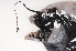  ( - 08-110)  @12 [ ] Unspecified (default): All Rights Reserved  Unspecified Unspecified