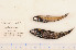  ( - 07-744C)  @12 [ ] Unspecified (default): All Rights Reserved  Unspecified Unspecified