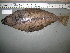  ( - 09-374)  @13 [ ] Unspecified (default): All Rights Reserved  Unspecified Unspecified