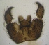  ( - JS-COI-2016-0004)  @12 [ ] CreativeCommons - Attribution Non-Commercial (2016) Marko Mutanen University of Oulu