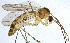  ( - NVO.LMM-Myc-2142)  @11 [ ] by-nc (2021) Unspecified Regional Museum of Lapland, Rovaniemi