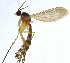  ( - NVO.LMM-Myc-2148)  @11 [ ] by-nc (2021) Unspecified Regional Museum of Lapland, Rovaniemi