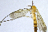  ( - NVO.LMM-Myc-2170)  @11 [ ] by-nc (2021) Unspecified Regional Museum of Lapland, Rovaniemi