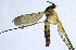  ( - NVO.LMM-Myc-2171)  @11 [ ] by-nc (2021) Unspecified Regional Museum of Lapland, Rovaniemi