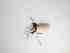  ( - LW-QMT225-2)  @11 [ ] CreativeCommonsAttribution Non-Commercial (2018) Unspecified Zhejiang A&F University