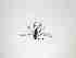  ( - LW-QMT235-2)  @11 [ ] CreativeCommonsAttribution Non-Commercial (2018) Unspecified Zhejiang A&F University