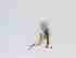  ( - LW-QMT237-2)  @11 [ ] CreativeCommonsAttribution Non-Commercial (2018) Unspecified Zhejiang A&F University
