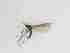  ( - LW-QMT474-2)  @11 [ ] CreativeCommonsAttribution Non-Commercial (2018) Unspecified Zhejiang A&F University