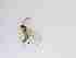  ( - LW-QMT521-2)  @11 [ ] CreativeCommonsAttribution Non-Commercial (2018) Unspecified Zhejiang A&F University