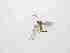  ( - LW-XG164-2)  @11 [ ] CreativeCommonsAttribution Non-Commercial (2018) Unspecified Zhejiang A&F University