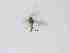  ( - LW-XG502-2)  @11 [ ] CreativeCommonsAttribution Non-Commercial (2018) Unspecified Zhejiang A&F University