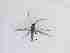  ( - LW-XG595-2)  @11 [ ] CreativeCommonsAttribution Non-Commercial (2018) Unspecified Zhejiang A&F University