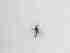  ( - LW-XG599-2)  @11 [ ] CreativeCommonsAttribution Non-Commercial (2018) Unspecified Zhejiang A&F University