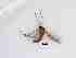  ( - LW-XG616-2)  @11 [ ] CreativeCommonsAttribution Non-Commercial (2018) Unspecified Zhejiang A&F University