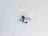  ( - LW-XG631-2)  @11 [ ] CreativeCommonsAttribution Non-Commercial (2018) Unspecified Zhejiang A&F University