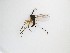  ( - LW-QMT103)  @11 [ ] CreativeCommons  Attribution
Non-Commercial Share-Alike (2019) Unspecified Zhejiang A&F University