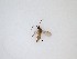  ( - LW-QMT134)  @11 [ ] CreativeCommons  Attribution
Non-Commercial Share-Alike (2019) Unspecified Zhejiang A&F University