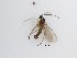  ( - LW-QMT163)  @11 [ ] CreativeCommons  Attribution
Non-Commercial Share-Alike (2019) Unspecified Zhejiang A&F University