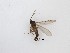  ( - LW-QMT196)  @11 [ ] CreativeCommons  Attribution
Non-Commercial Share-Alike (2019) Unspecified Zhejiang A&F University