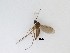  ( - LW-QMT220)  @11 [ ] CreativeCommons  Attribution
Non-Commercial Share-Alike (2019) Unspecified Zhejiang A&F University