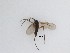  ( - LW-QMT258)  @11 [ ] CreativeCommons  Attribution
Non-Commercial Share-Alike (2019) Unspecified Zhejiang A&F University