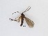  ( - LW-QMT276)  @11 [ ] CreativeCommons  Attribution
Non-Commercial Share-Alike (2019) Unspecified Zhejiang A&F University