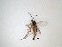  ( - LW-QMT300)  @13 [ ] CreativeCommons  Attribution
Non-Commercial Share-Alike (2019) Unspecified Zhejiang A&F University