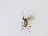  ( - LW-QMT305)  @11 [ ] CreativeCommons  Attribution
Non-Commercial Share-Alike (2019) Unspecified Zhejiang A&F University