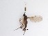  ( - LW-QMT321)  @11 [ ] CreativeCommons  Attribution
Non-Commercial Share-Alike (2019) Unspecified Zhejiang A&F University