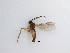  ( - LW-QMT328)  @11 [ ] CreativeCommons  Attribution
Non-Commercial Share-Alike (2019) Unspecified Zhejiang A&F University