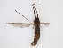  ( - LW-QMT333)  @11 [ ] CreativeCommons  Attribution
Non-Commercial Share-Alike (2019) Unspecified Zhejiang A&F University