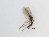  ( - LW-QMT353)  @11 [ ] CreativeCommons  Attribution
Non-Commercial Share-Alike (2019) Unspecified Zhejiang A&F University
