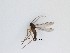  ( - LW-QMT377)  @11 [ ] CreativeCommons  Attribution
Non-Commercial Share-Alike (2019) Unspecified Zhejiang A&F University