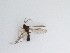 ( - LW-QMT387)  @11 [ ] CreativeCommons  Attribution
Non-Commercial Share-Alike (2019) Unspecified Zhejiang A&F University