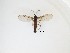  ( - LW-QMT418)  @11 [ ] CreativeCommons  Attribution
Non-Commercial Share-Alike (2019) Unspecified Zhejiang A&F University