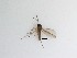 ( - LW-QMT465)  @11 [ ] CreativeCommons  Attribution
Non-Commercial Share-Alike (2019) Unspecified Zhejiang A&F University